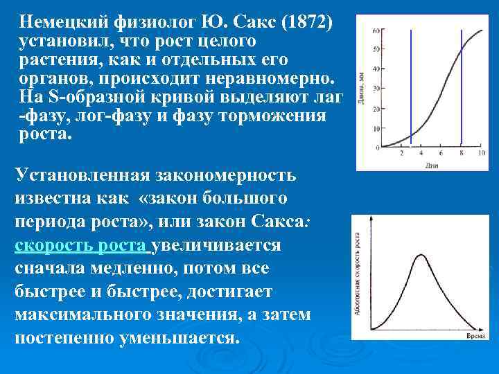 Немецкий физиолог Ю. Сакс (1872) установил, что рост целого растения, как и отдельных его