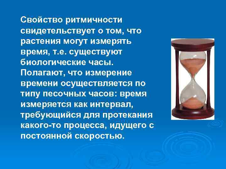 Свойство ритмичности свидетельствует о том, что растения могут измерять время, т. е. существуют биологические