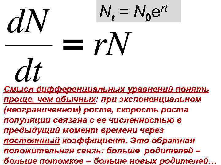 Nt = N 0 rt e Смысл дифференциальных уравнений понять проще, чем обычных: при