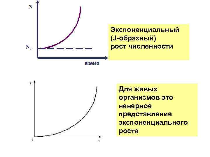 Экспоненциальный (J-образный) рост численности Для живых организмов это неверное представление экспоненциального роста 