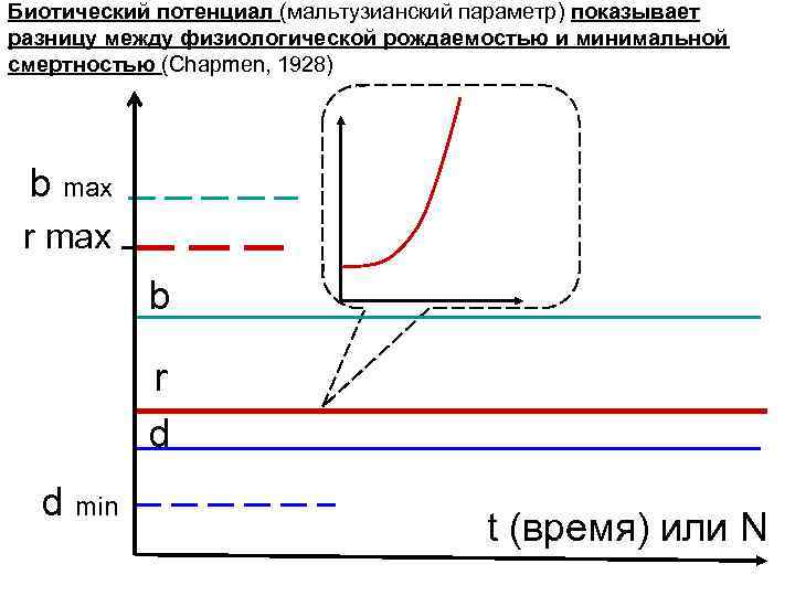 Биотический потенциал (мальтузианский параметр) показывает разницу между физиологической рождаемостью и минимальной смертностью (Chapmen, 1928)