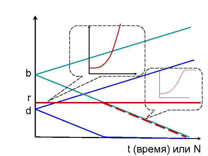 b r d t (время) или N 