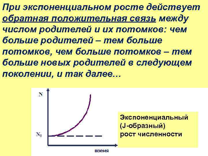 При экспоненциальном росте действует обратная положительная связь между числом родителей и их потомков: чем