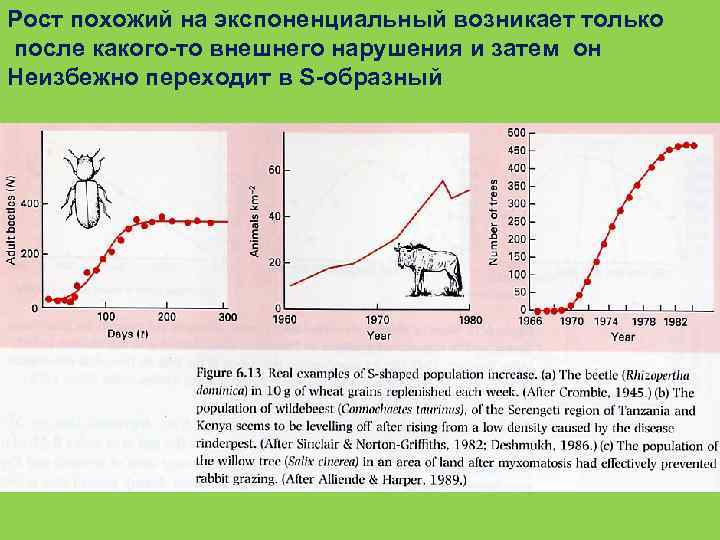 Рост похожий на экспоненциальный возникает только после какого-то внешнего нарушения и затем он Неизбежно