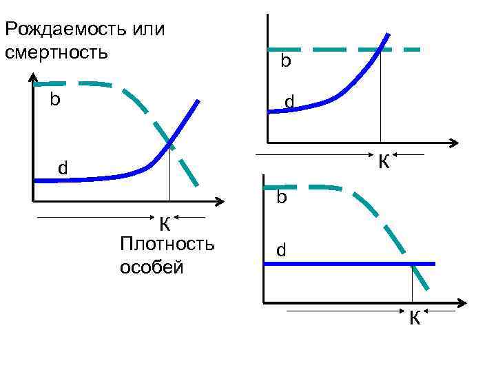 Рождаемость или смертность b b d К d b К Плотность особей d К