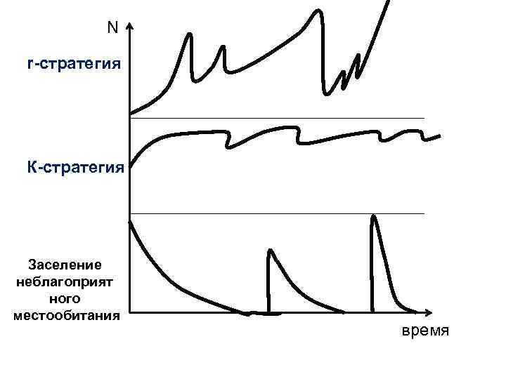 Изобразите в виде схемы отличия между к и к стратегиями выживания