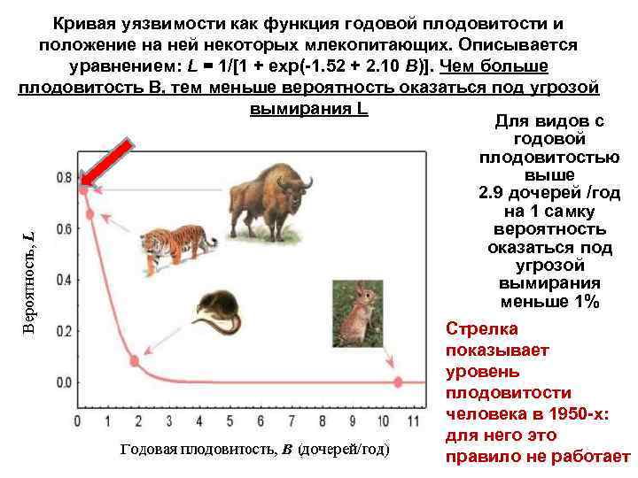 Кривая уязвимости как функция годовой плодовитости и положение на ней некоторых млекопитающих. Описывается уравнением: