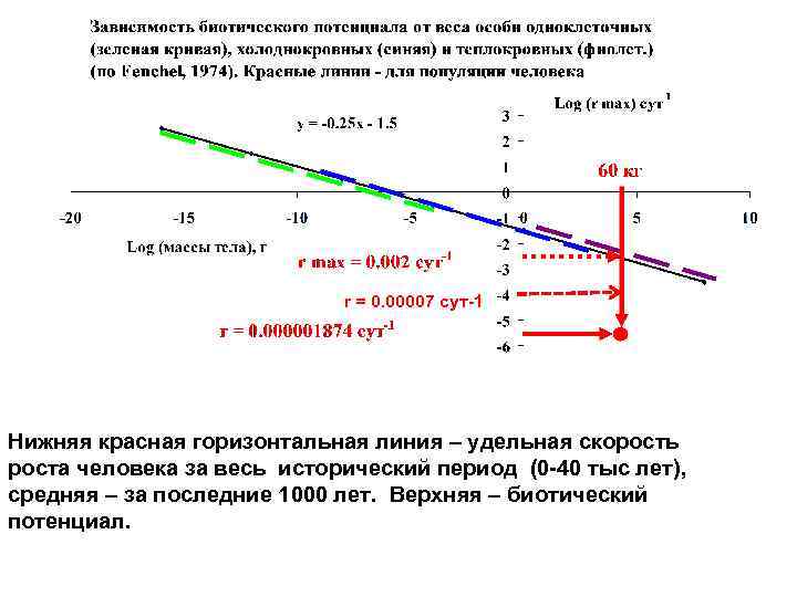 r = 0. 00007 сут-1 Нижняя красная горизонтальная линия – удельная скорость роста человека