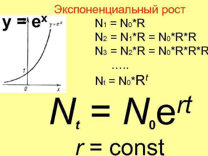 Экспоненциальный рост х у = e N 1 = N 0*R N 2 =