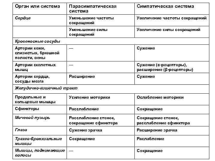 Орган или система Парасимпатическая система Сердце Уменьшение частоты сокращений Увеличение частоты сокращений Уменьшение силы