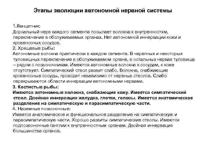 Этапы эволюции автономной нервной системы 1. Ланцетник: Дорсальный нерв каждого сегмента посылает волокна к