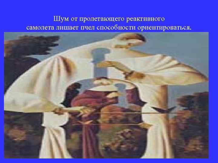 Шум от пролетающего реактивного самолета лишает пчел способности ориентироваться. 