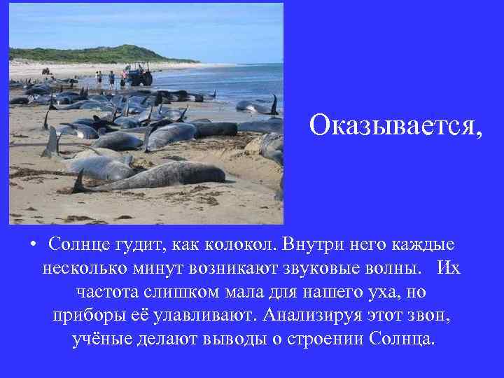 Оказывается, • Солнце гудит, как колокол. Внутри него каждые несколько минут возникают звуковые волны.