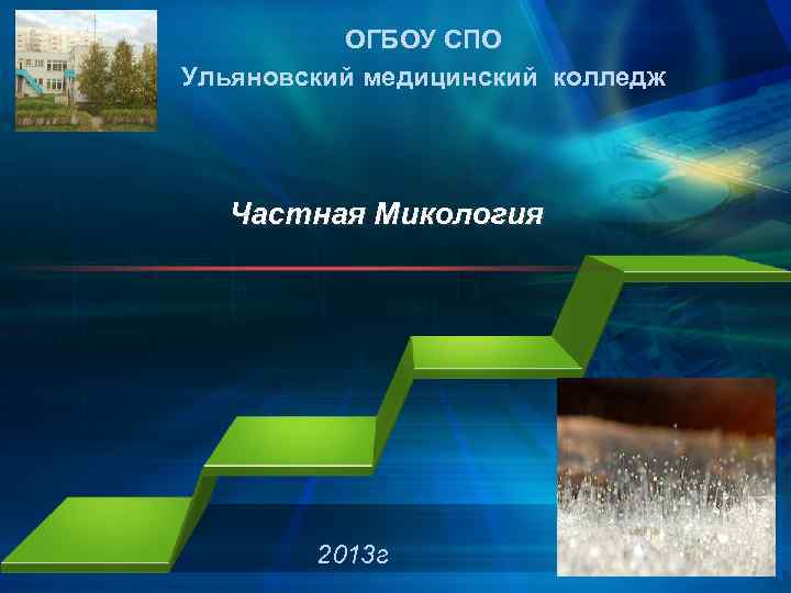 ОГБОУ СПО Ульяновский медицинский колледж Частная Микология 2013 г 