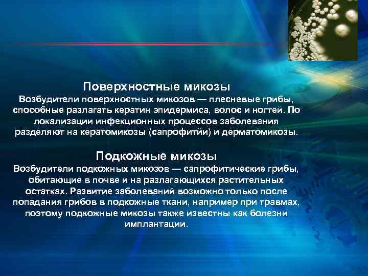 Поверхностные микозы Возбудители поверхностных микозов — плесневые грибы, способные разлагать кератин эпидермиса, волос и