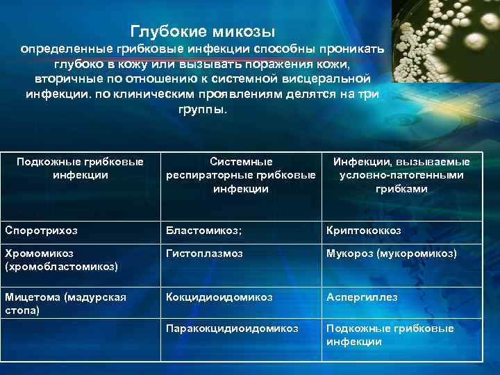 Глубокие микозы определенные грибковые инфекции способны проникать глубоко в кожу или вызывать поражения кожи,