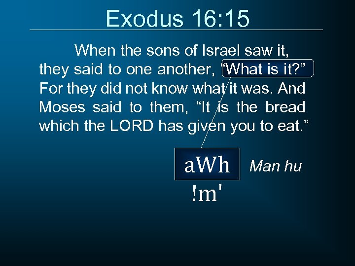 Exodus 16: 15 When the sons of Israel saw it, they said to one