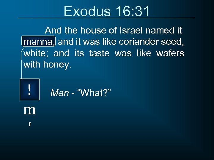 Exodus 16: 31 And the house of Israel named it manna, and it was