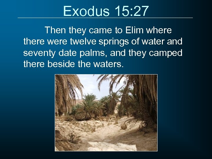 Exodus 15: 27 Then they came to Elim where there were twelve springs of