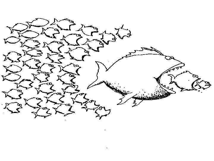 Образование в синергетическом смысле ¡ ¡ это самоорганизация человека как целостной, упорядоченной системы, коэволюционирующей