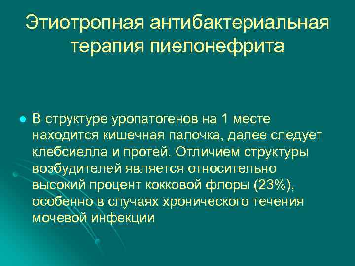 Этиотропная антибактериальная терапия пиелонефрита l В структуре уропатогенов на 1 месте находится кишечная палочка,