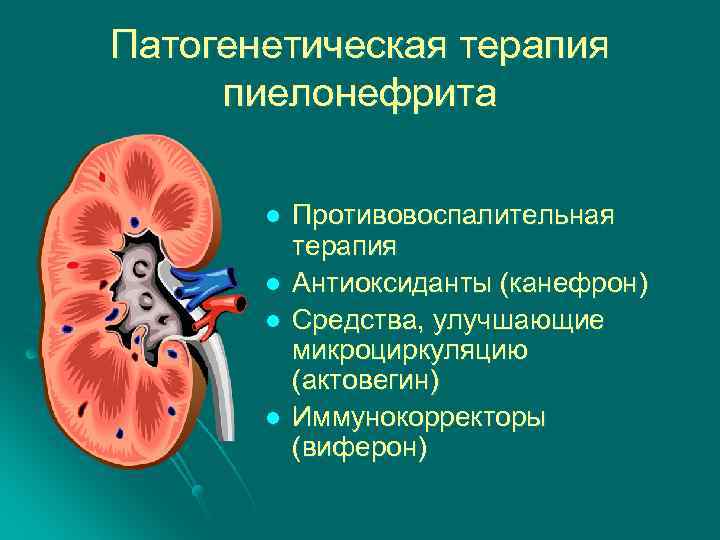 Патогенетическая терапия пиелонефрита l l Противовоспалительная терапия Антиоксиданты (канефрон) Средства, улучшающие микроциркуляцию (актовегин) Иммунокорректоры