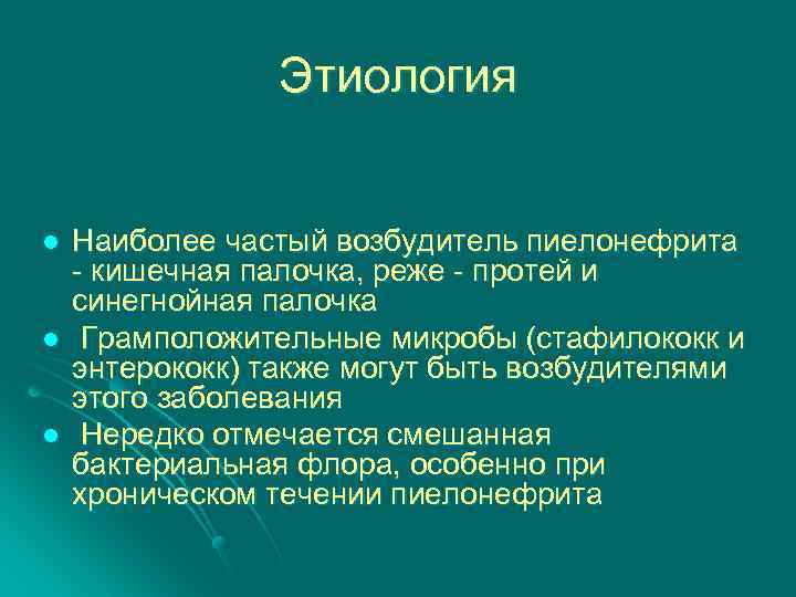 Этиология l l l Наиболее частый возбудитель пиелонефрита - кишечная палочка, реже - протей