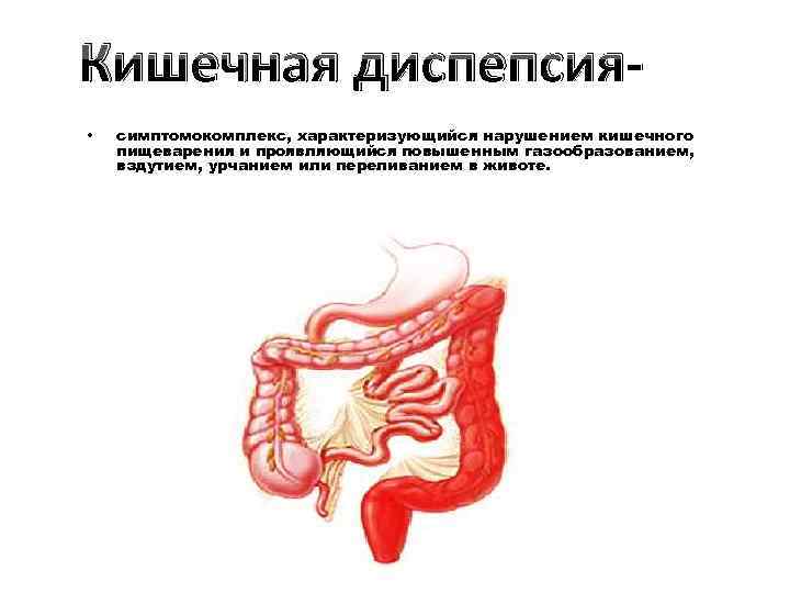 Кишечная диспепсия • симптомокомплекс, характеризующийся нарушением кишечного пищеварения и проявляющийся повышенным газообразованием, вздутием, урчанием