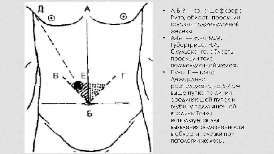 Подложечная область где находится фото