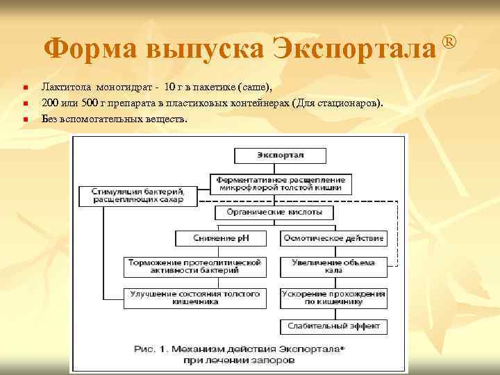 Форма выпуска Экспортала ® n n n Лактитола моногидрат - 10 г в пакетике