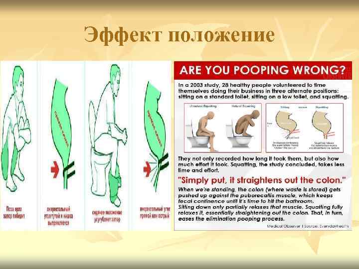 Эффект положения генов. Эффект положения примеры. Эффект положения Гена. Эффект положения генетика.