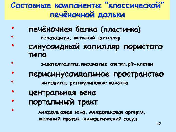 Составные компоненты “классической” печёночной дольки • печёночная балка (пластинка) • синусоидный капилляр пористого типа