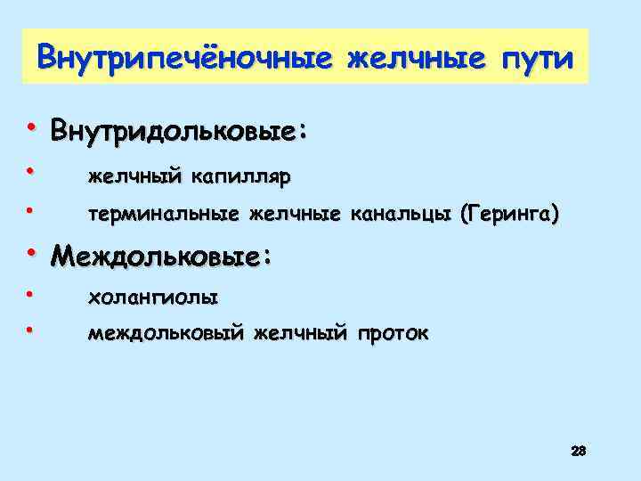 Внутрипечёночные желчные пути • Внутридольковые: • • желчный капилляр терминальные желчные канальцы (Геринга) •