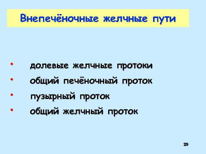 Внепечёночные желчные пути • • долевые желчные протоки общий печёночный проток пузырный проток общий