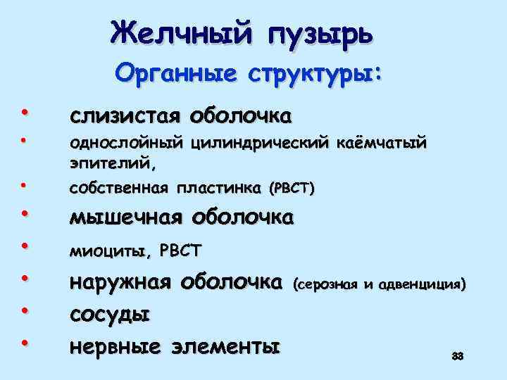 Желчный пузырь Органные структуры: • • слизистая оболочка однослойный цилиндрический каёмчатый эпителий, собственная пластинка