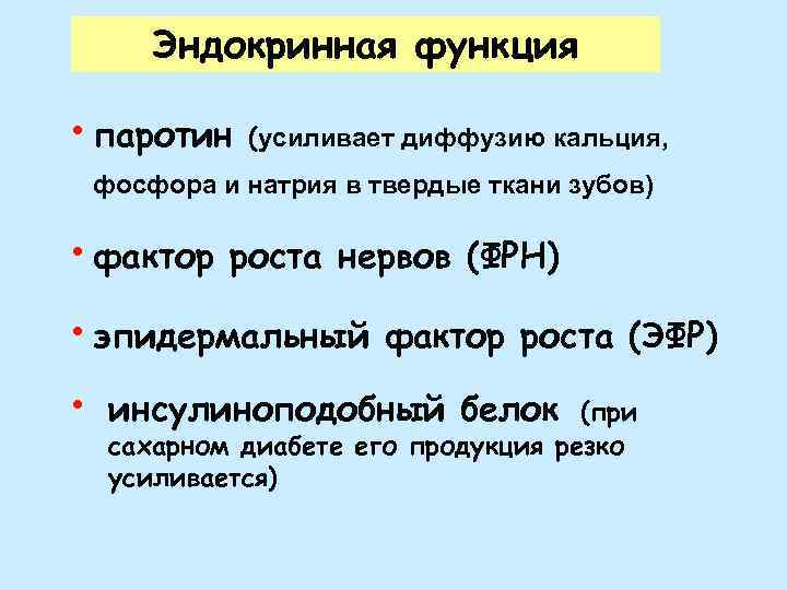 Эндокринная функция • паротин (усиливает диффузию кальция, фосфора и натрия в твердые ткани зубов)