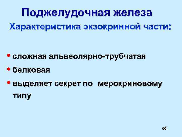 Поджелудочная железа Характеристика экзокринной части: • сложная альвеолярно-трубчатая • белковая • выделяет секрет по