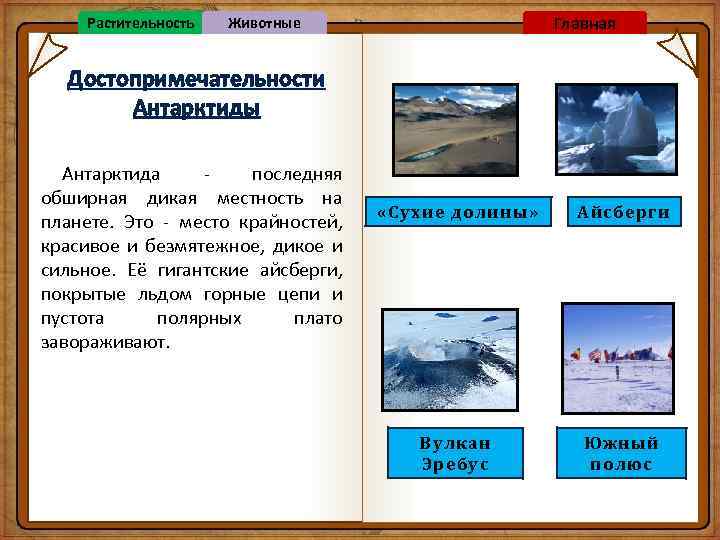 Растительность Главная Животные Достопримечательности Антарктиды Антарктида - последняя обширная дикая местность на планете. Это