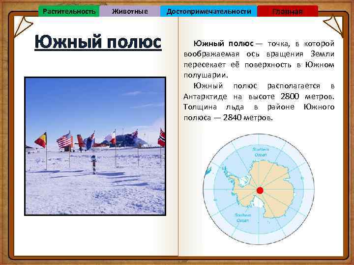 Растительность Животные Южный полюс Достопримечательности Главная Южный полюс — точка, в которой воображаемая ось