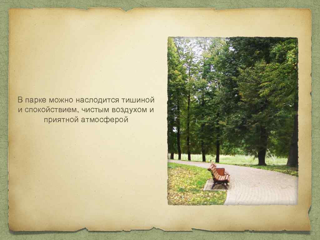 В парке можно наслодится тишиной и спокойствием, чистым воздухом и приятной атмосферой 