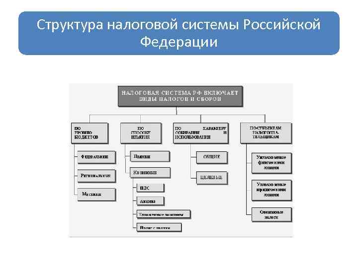 Структура системы налогов