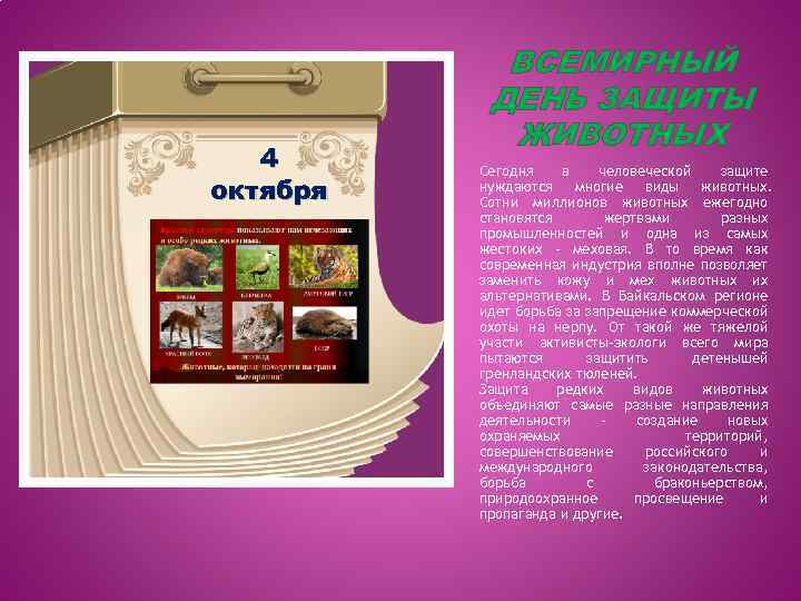 4 октября ВСЕМИРНЫЙ ДЕНЬ ЗАЩИТЫ ЖИВОТНЫХ Сегодня в человеческой защите нуждаются многие виды животных.
