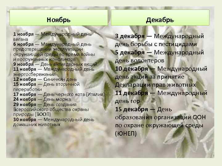 Ноябрь 1 ноября — Международный день вегана 6 ноября — Международный день предотвращения эксплуатации