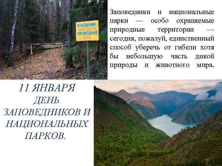 Заповедники и национальные парки — особо охраняемые природные территории — сегодня, пожалуй, единственный способ