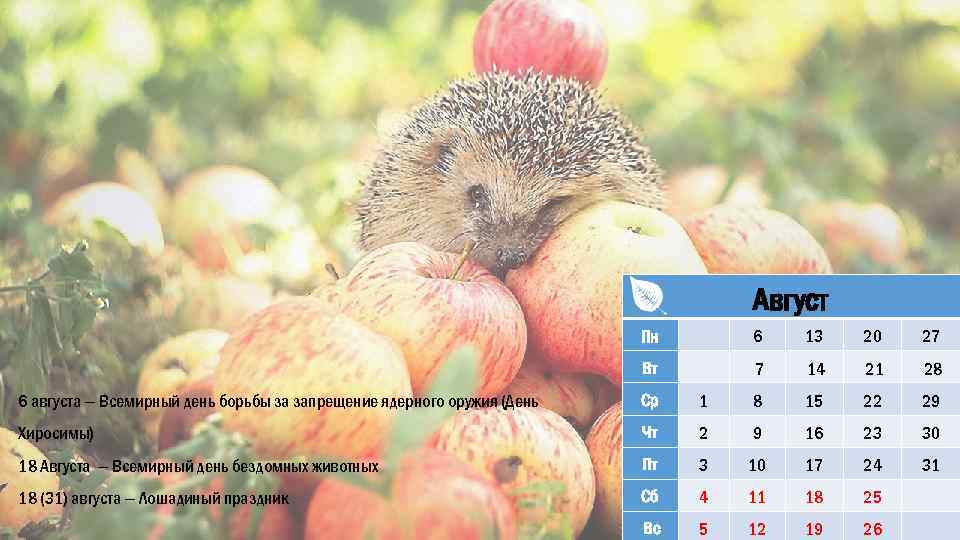 Август Пн 6 13 20 27 Вт 7 14 21 28 6 августа —