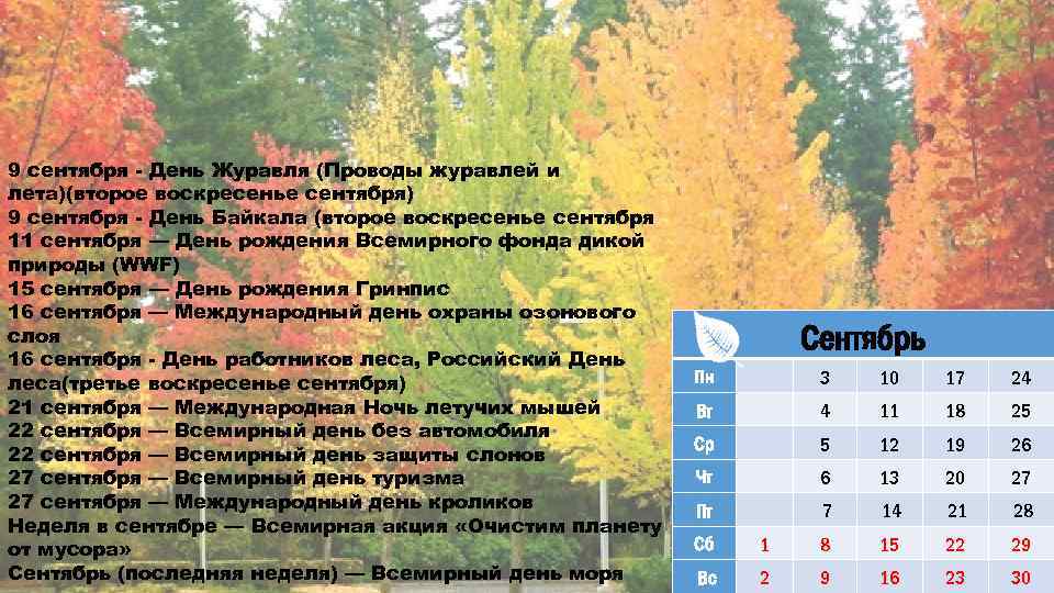 9 сентября - День Журавля (Проводы журавлей и лета)(второе воскресенье сентября) 9 сентября -