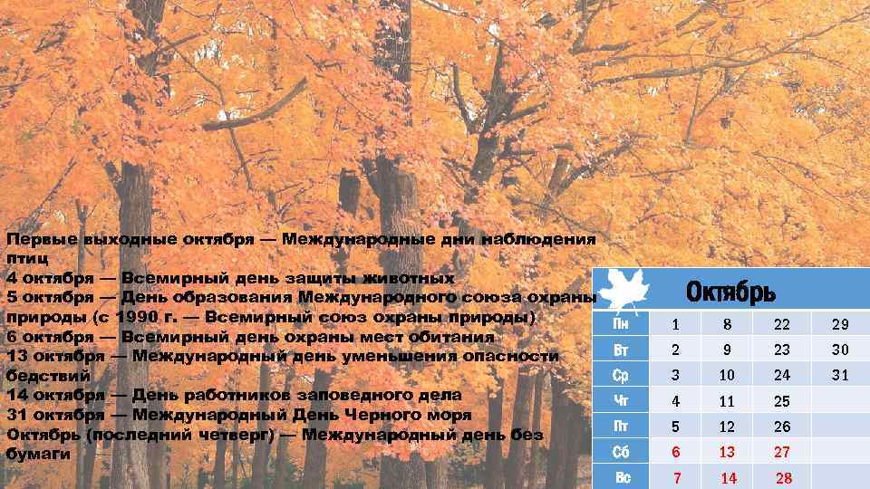 Первые выходные октября — Международные дни наблюдения птиц 4 октября — Всемирный день защиты