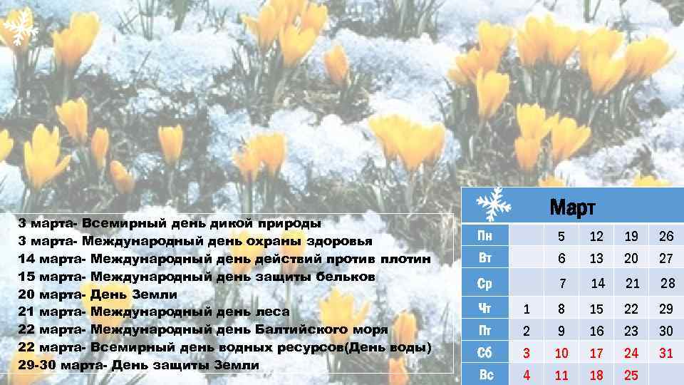 3 марта- Всемирный день дикой природы 3 марта- Международный день охраны здоровья 14 марта-