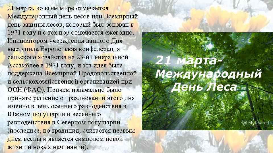 Всемирный день защиты лесов. Международный день лесов. Международный день защиты леса.