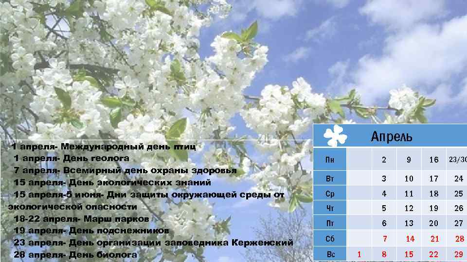 1 апреля- Международный день птиц 1 апреля- День геолога 7 апреля- Всемирный день охраны